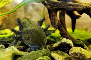 WhatsApp Image 2023-07-21 at 1.12.56 PM (2)