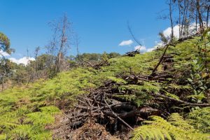 WhatsApp Image 2023-07-28 at 4.00.49 PM