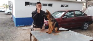 WhatsApp Image 2024-06-20 at 2.16.01 PM