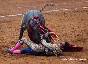 b75e03a5-2c93-4780-9872-b3e0557ec117