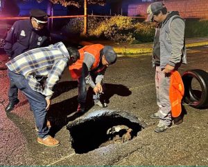 ab2aa434-4254-489b-8284-c480bfe7cf86