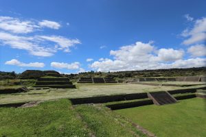 IMG_5856
