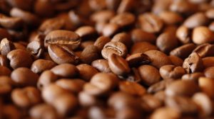 68c81249-9294-4c89-afb9-2fc86a552123