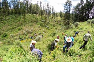 ccaa2655-4f73-4633-b2d8-23f729118e7b