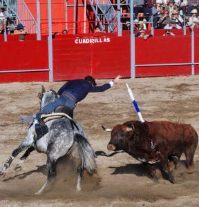 WhatsApp Image 2024-12-08 at 3.02.42 PM