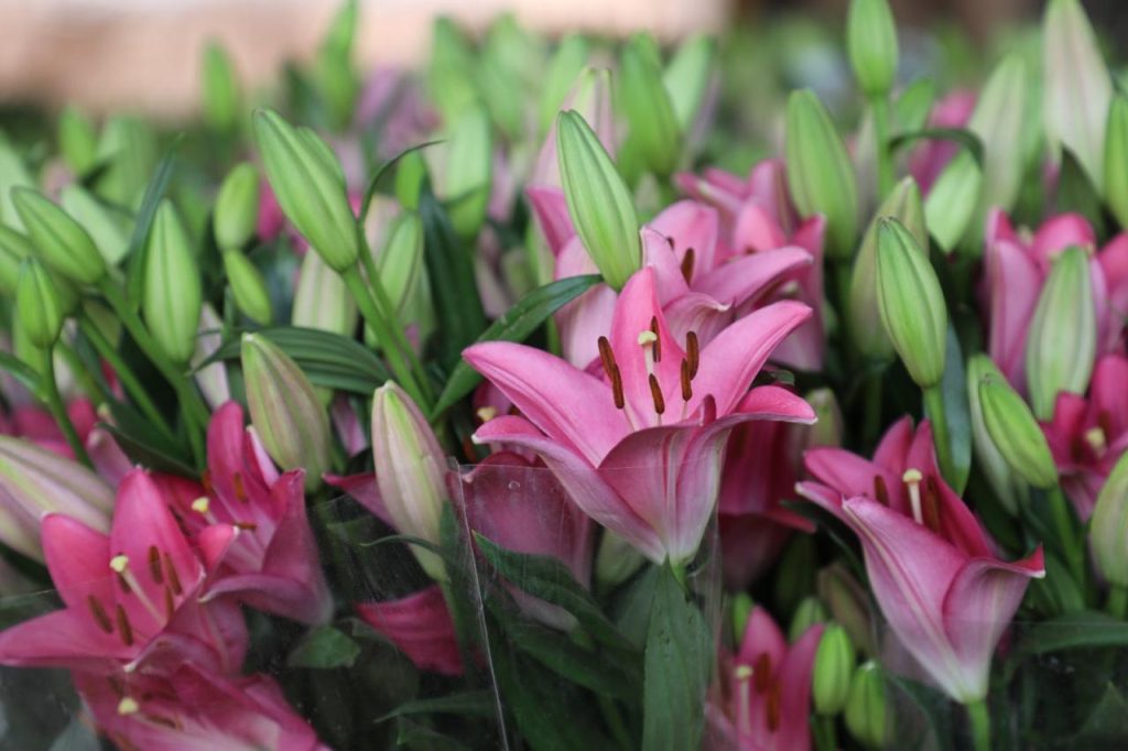 e9a276b6-a4a6-42ef-aefb-c46fcf45d9c3