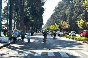 0db01be5-48c0-484a-a9b6-561cede1df39