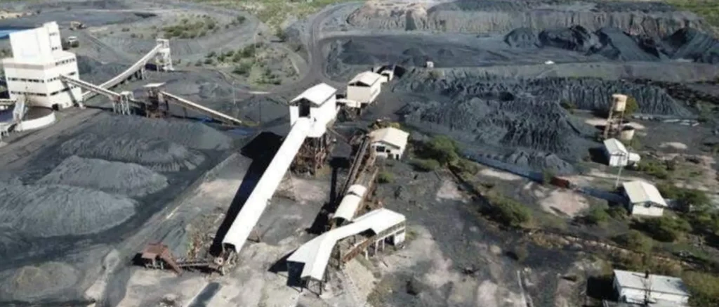 MINA PASTA DE CONCHO