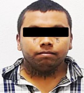 WhatsApp Image 2025-01-24 at 2.10.34 PM