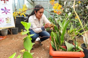 63243b3a-6b98-4a3b-82e1-0f63490c2805