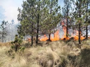 71417352-d016-4ae5-8f5a-ec9fccb0ae61