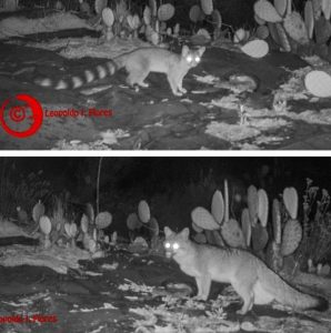 WhatsApp Image 2025-03-30 at 9.01.21 PM