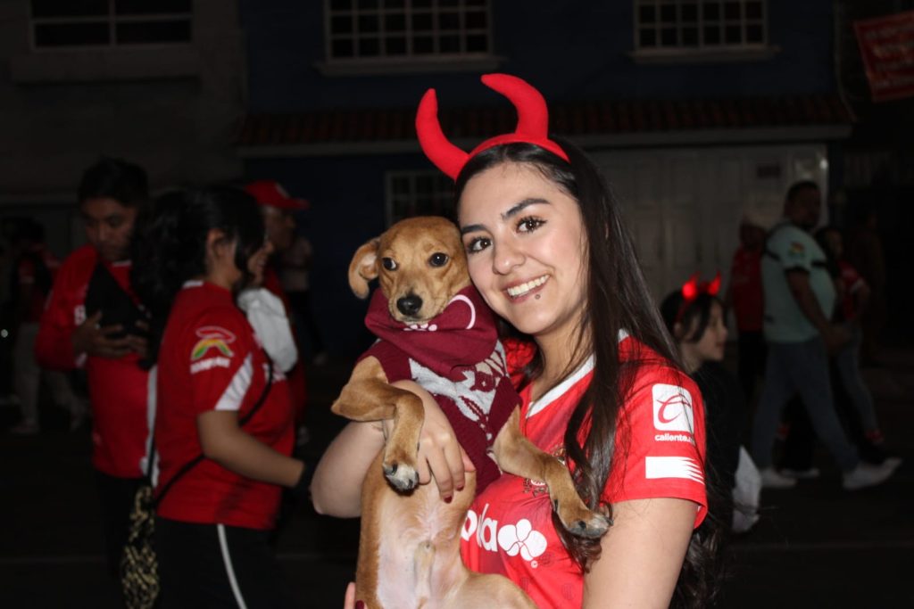 c1db0027-517d-4818-8611-fe7cff2a8a76