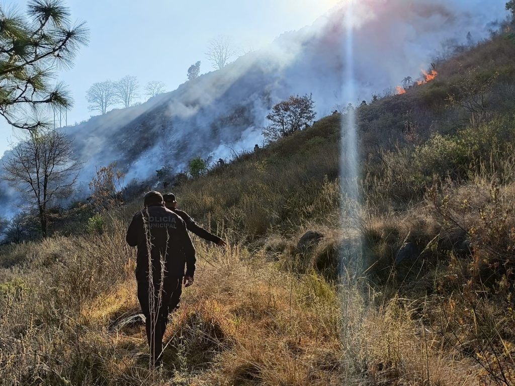 0053a00d-e393-49d6-ac60-b604ebece164