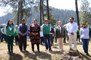 Imagen de WhatsApp 2025-04-25 a las 18.11.13_b49d2de0