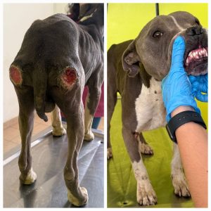 03c51540-4280-481d-b18e-1f887c827199