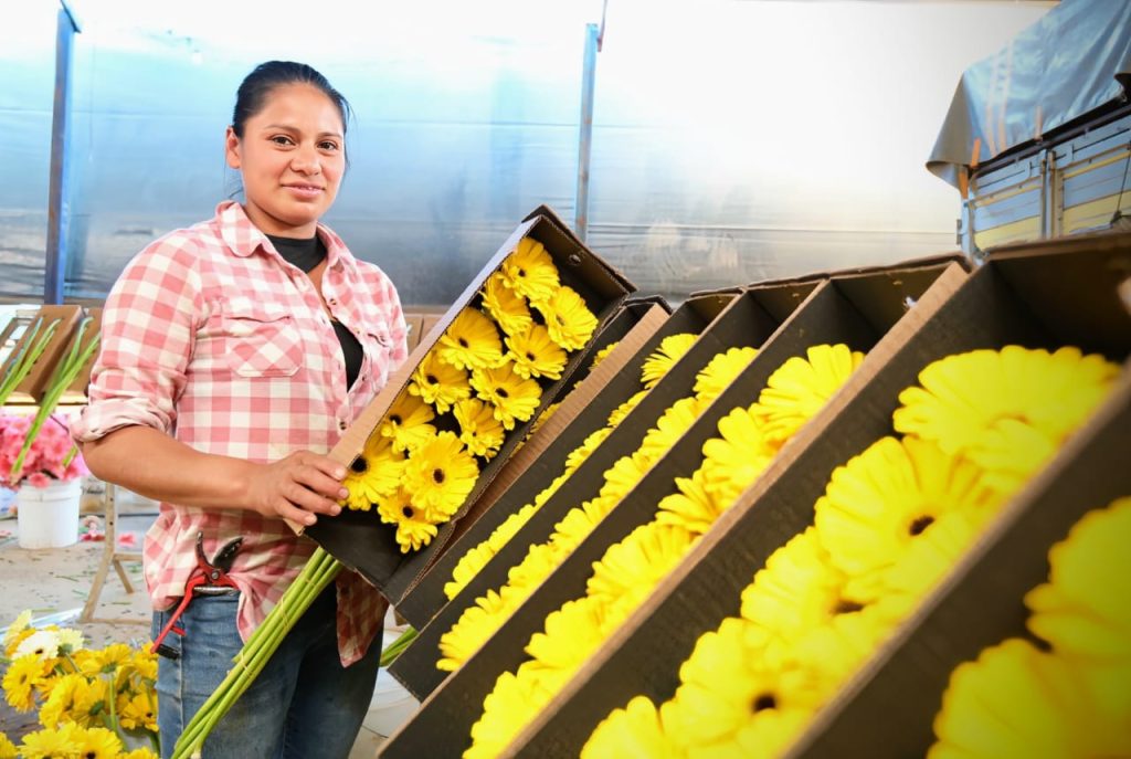 cfcaf601-6e99-4a86-8d97-7e051cd4495f