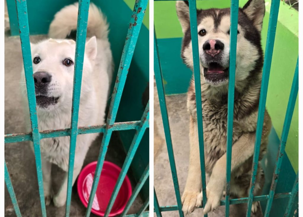 7b5205f0-0e90-400b-9eda-b47beddc3490