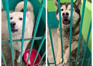 7b5205f0-0e90-400b-9eda-b47beddc3490