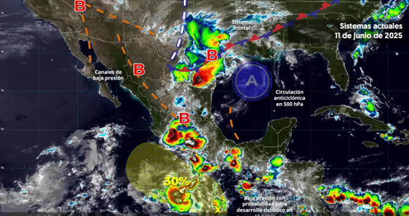 Imagen1