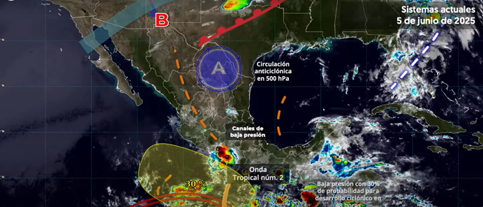 Imagen1