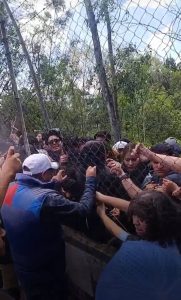 535155319_1090485693264318_6241016790124535710_n