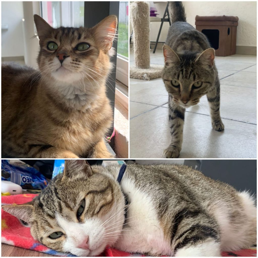 e15c708f-ac39-4125-be6e-30a38e621adb