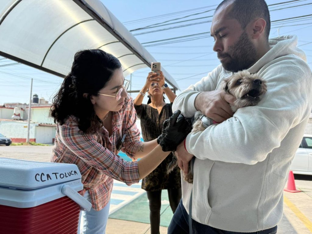 15087c1c-d751-4bf4-aa91-e67923cebd3a