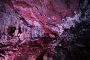 d238b10f-ee24-4d42-8cce-7438cb29034a