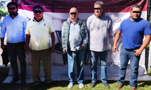 71e79d2f-cebd-4c0a-a070-71357fe83f37