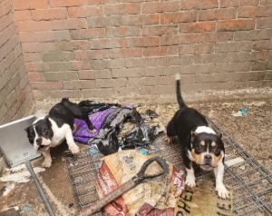 2ff8b4fe-0220-4e8b-9b86-dcdb650551b322