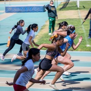 WhatsApp Image 2026-01-16 at 12.24.21 PM