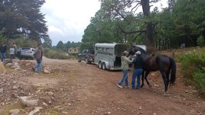 WhatsApp Image 2026-01-19 at 12.29.56 PM (1)