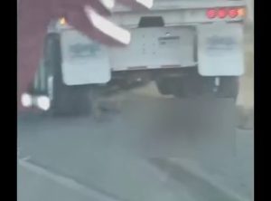 anycript_thumbnail_1 (78)