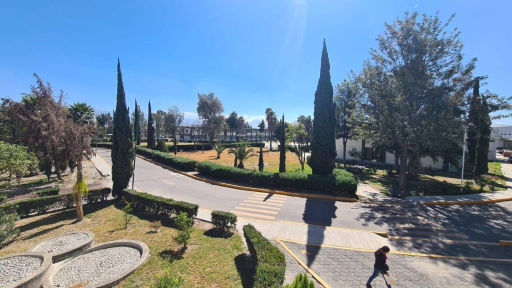 627061951_882415684639962_7812060784257339984_n