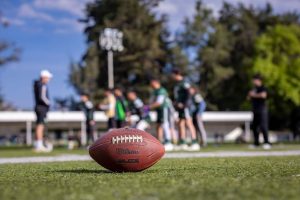 WhatsApp Image 2026-02-01 at 9.20.00 AM