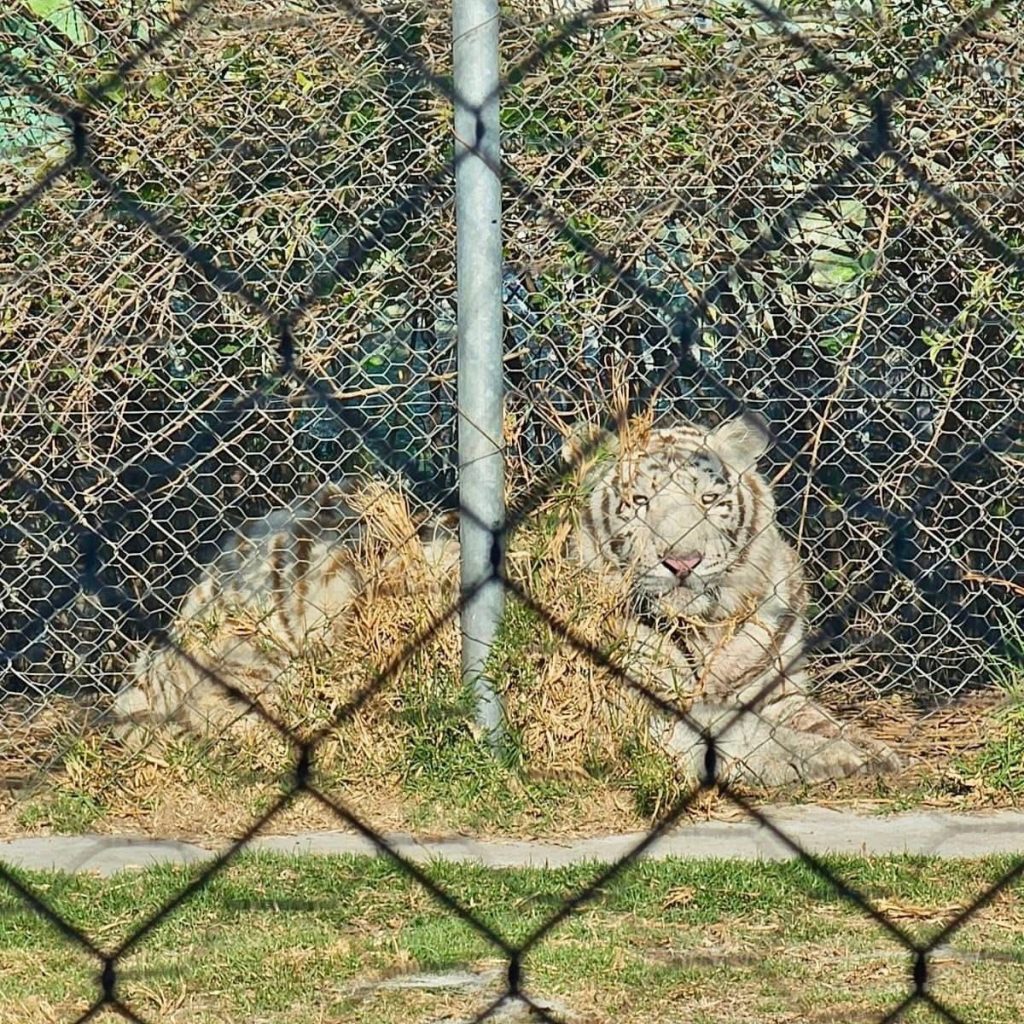 649886307_1456027782833577_4838404871510556930_n