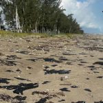 Crisis ambiental en el Golfo de México: limpieza avanza, pero crece la polémica
