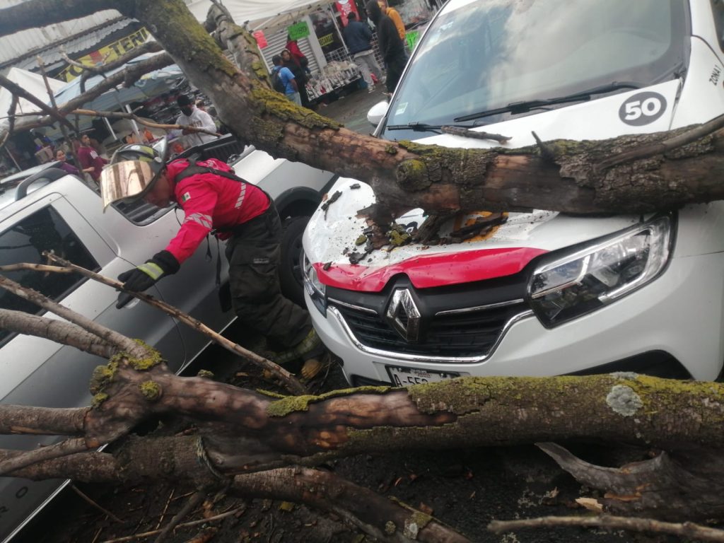 WhatsApp Image 2026-04-02 at 6.08.29 PM