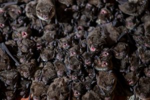 WhatsApp Image 2026-04-17 at 12.52.34 PM