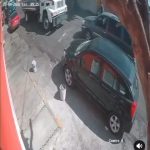 Video: conductor dispara a pipero tras pleito vial en Chimalhuacán; lo buscan