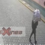 Robo en zapatería de Metepec; insólito error del ladrón, pero duro golpe al negocio. Video
