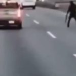 Video capta violento asalto armado en la autopista Puebla-Orizaba; obligan a bajar a familia de camioneta