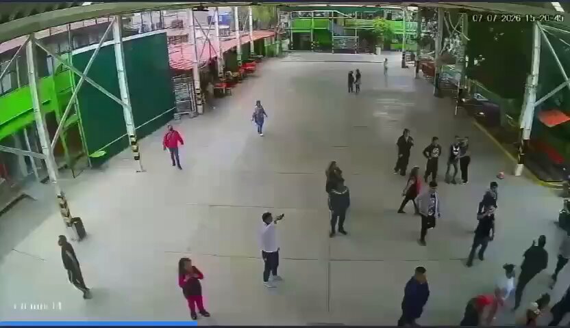 a3EFfVE541y6tl9Y