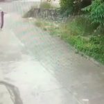 Hombre vestido de payaso genera alarma en colonias de Morelia