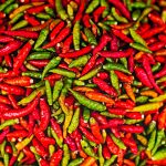 36 hospitalizados en EEUU por brote de salmonella vinculado a jalapeños mexicanos