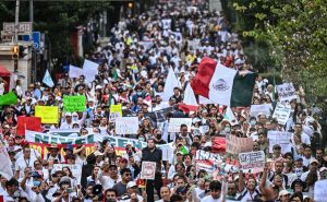 manifestación imss